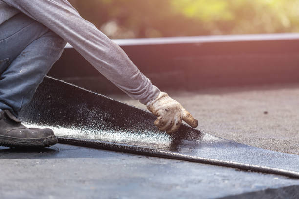 Wet basement repair process in Lowell, MI